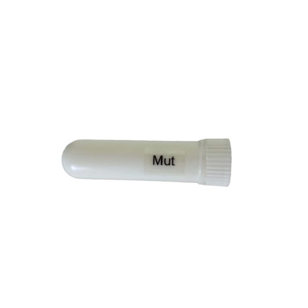Aromathek Riechstift Mut www.aromathek.ch
